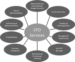 CFO services leverencer